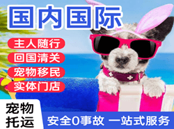 毕节飞雄机场托运国际宠物托运 【国